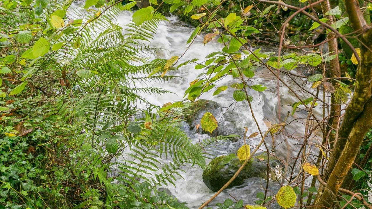 Cuddfan Βίλα Llanberis Εξωτερικό φωτογραφία